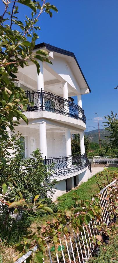 Villa Bratislava Demir Kapı Dış mekan fotoğraf